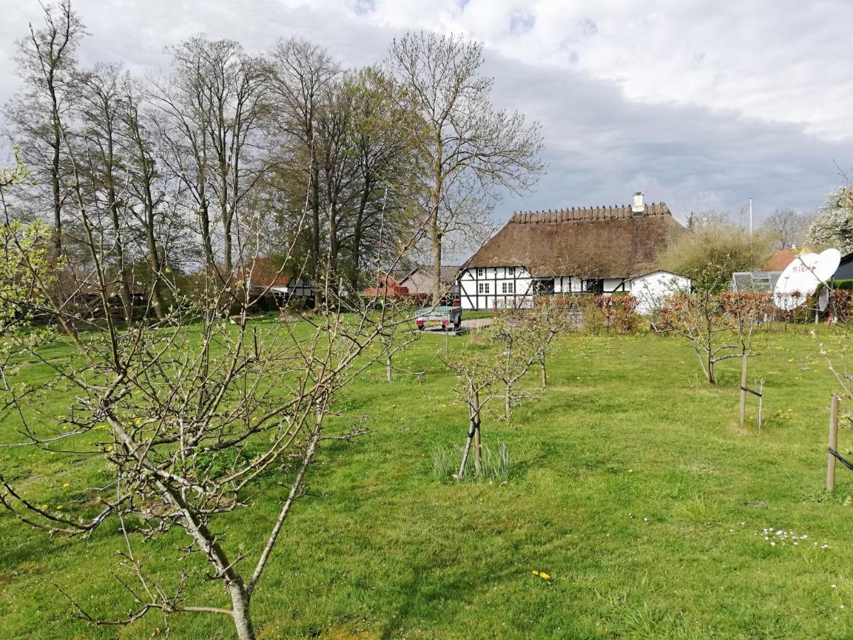 Baekgaarden B&B Lyndelse Eksteriør billede