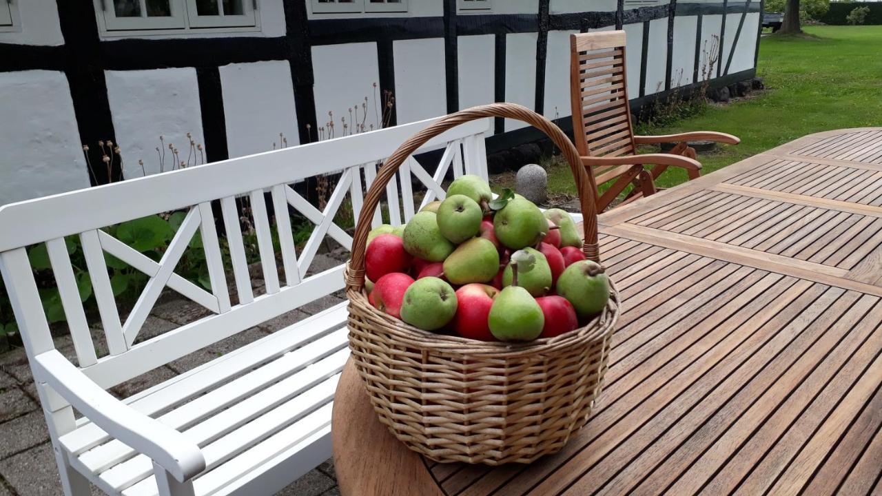 Baekgaarden B&B Lyndelse Eksteriør billede