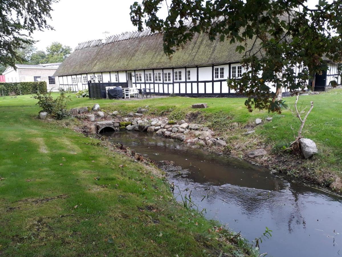 Baekgaarden B&B Lyndelse Eksteriør billede