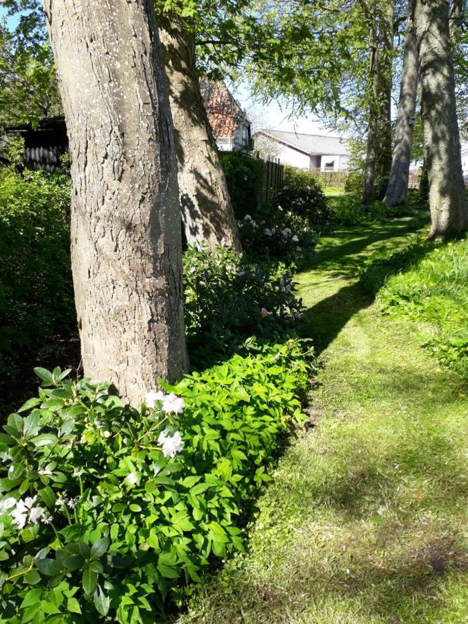 Baekgaarden B&B Lyndelse Eksteriør billede