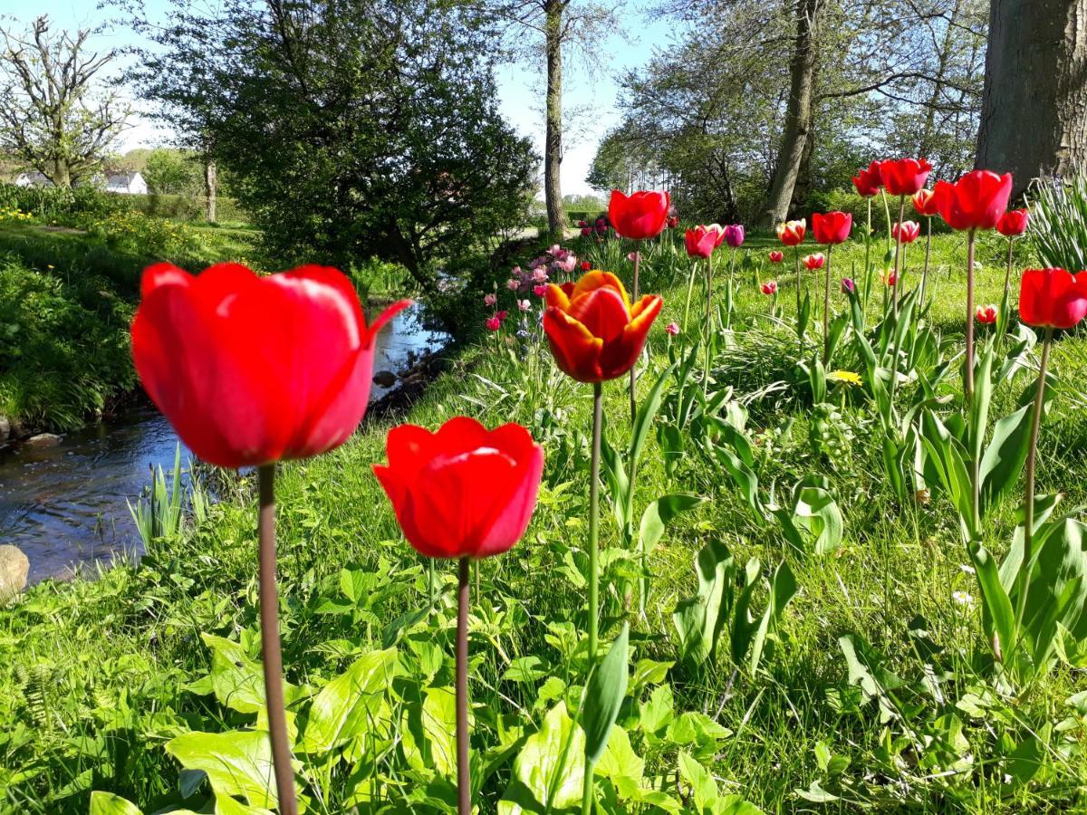 Baekgaarden B&B Lyndelse Eksteriør billede