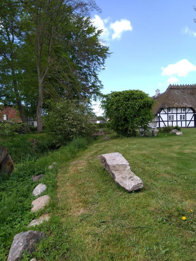 Baekgaarden B&B Lyndelse Eksteriør billede