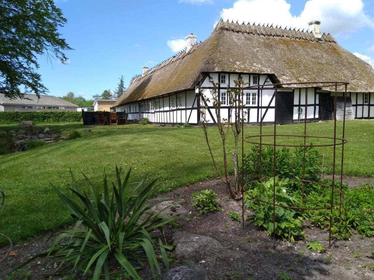 Baekgaarden B&B Lyndelse Eksteriør billede